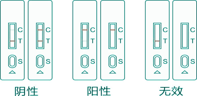 肉眼直接判讀結果